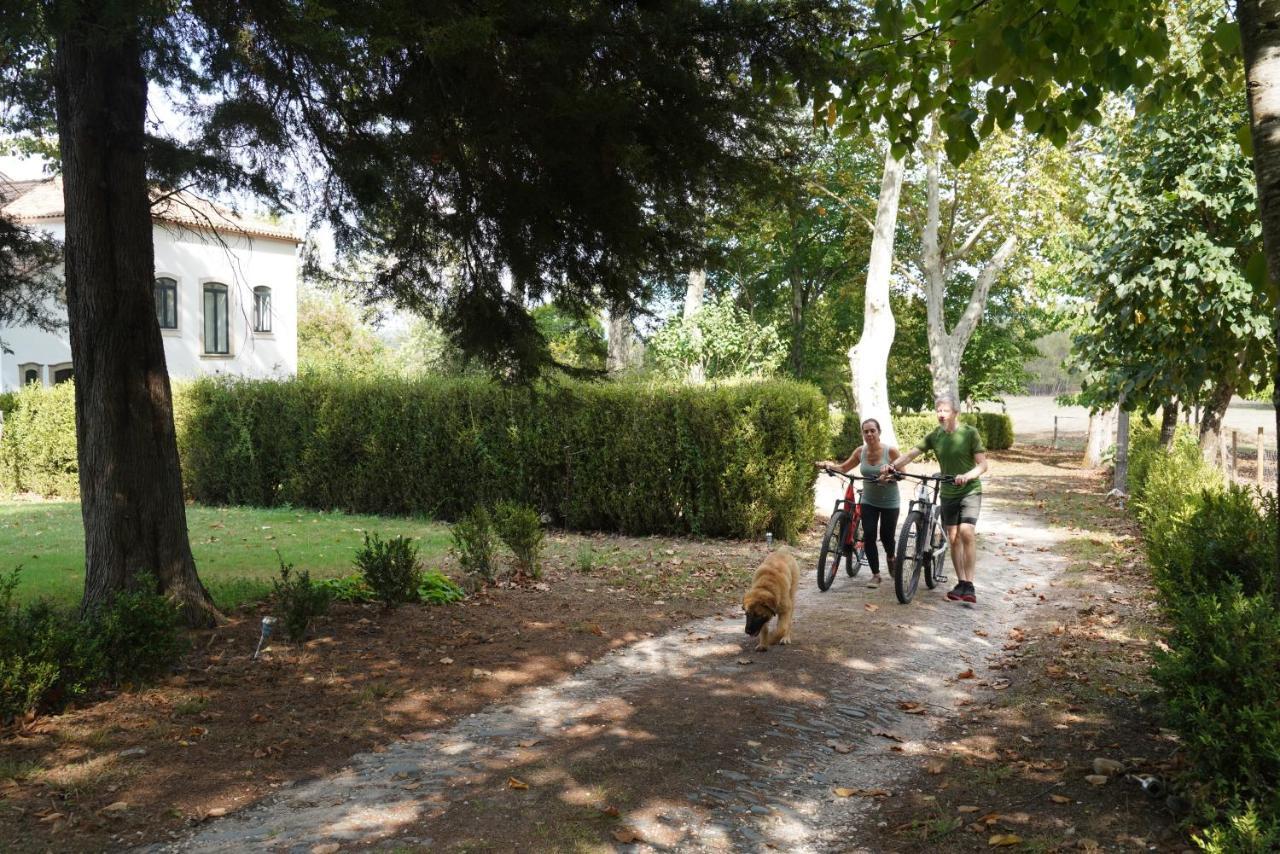 Apartament Quinta Do Areal Lousã Zewnętrze zdjęcie